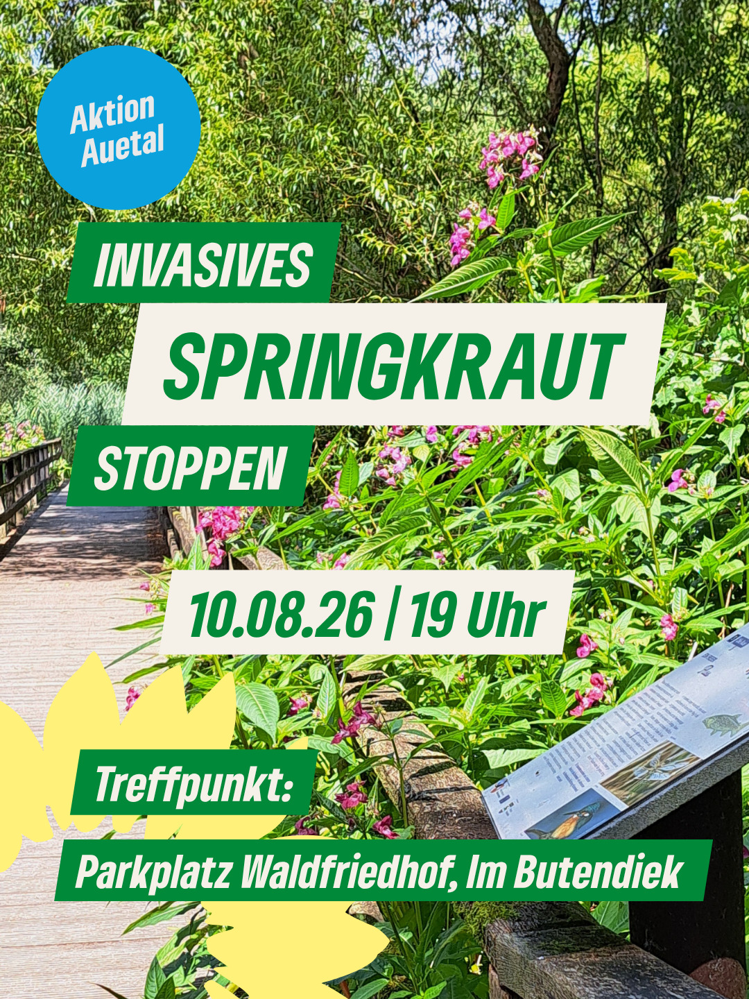 Aktion im Auetal - Invasives Springkraut stoppen. - Montag, 10.08.2026, 19 Uhr - Treffpunkt: Parkplatz Waldfriedhof, Im Butendiek.
